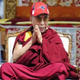 Illustration for article titled Hey Lama, How About A Little Something, You Know, For The Effort?